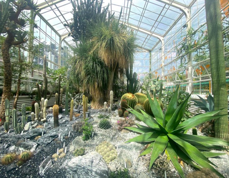 Old Botanical Garden, Switzerland